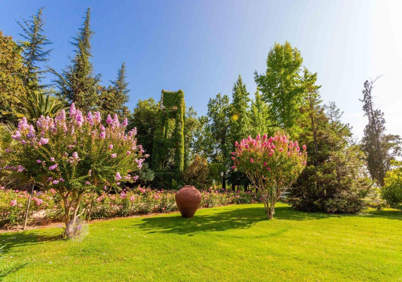 Hotel Boutique Almahue Pichidegua 외부 사진